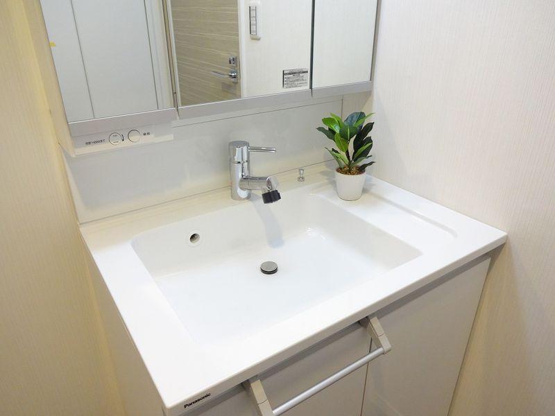 Wash basin, toilet. Bathroom vanity