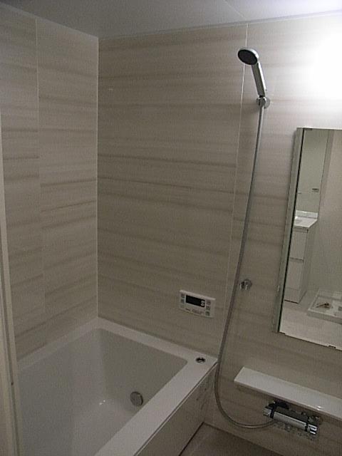 Bathroom. Indoor (12 May 2013) Shooting