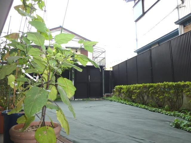 Garden. Local (11 May 2013) Shooting