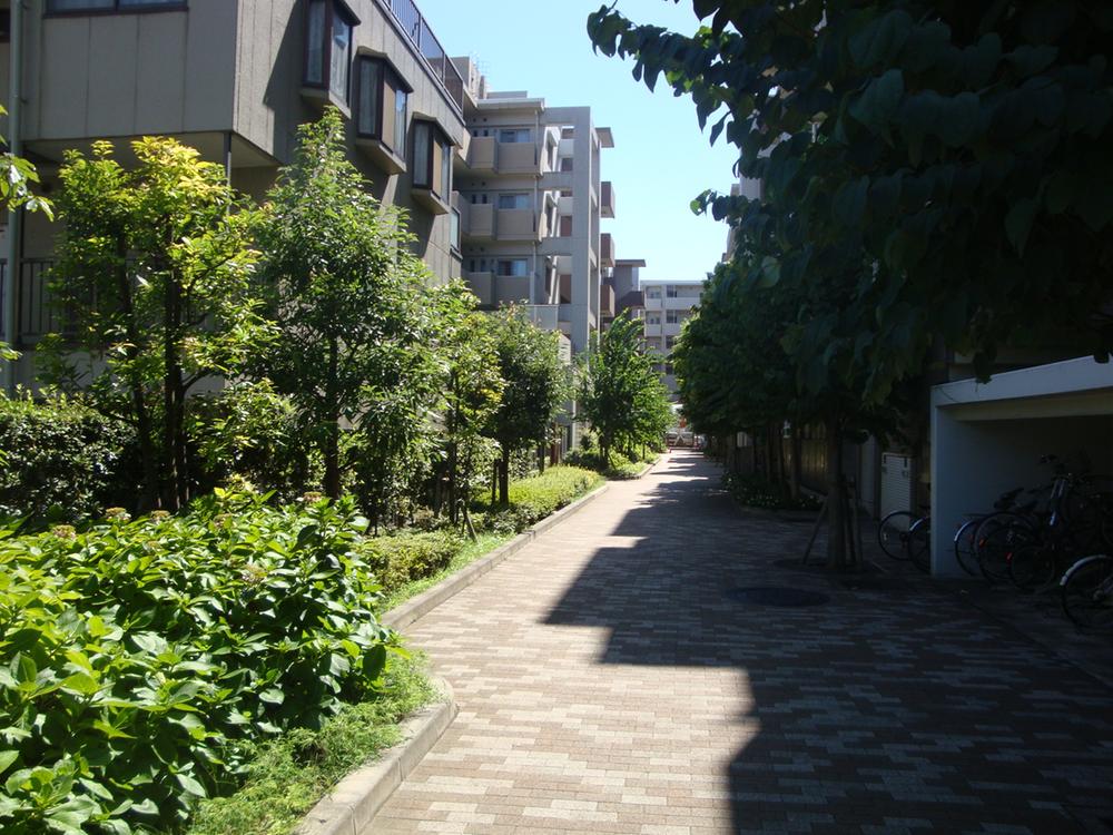 Other common areas. courtyard