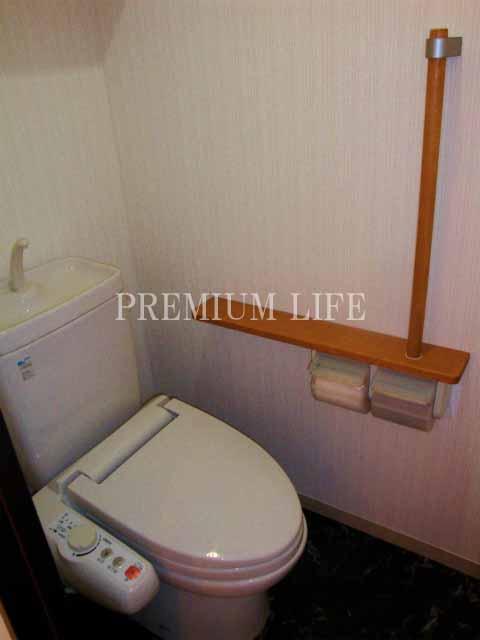 Toilet. Toilet