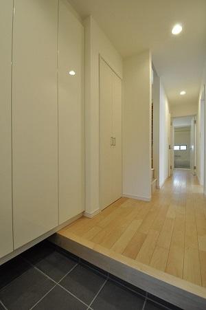 Same specifications photos (Other introspection). Entrance (same specifications Construction cases)