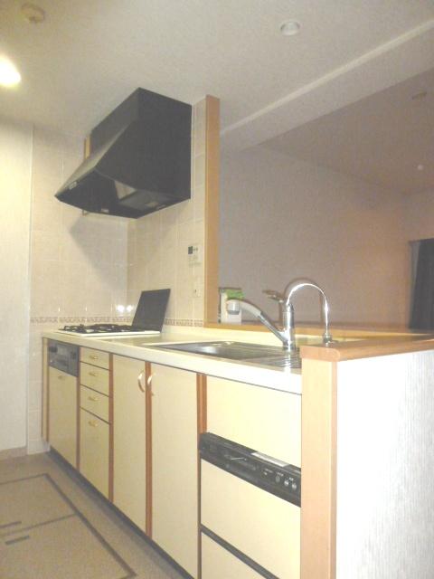 Kitchen. Indoor (11 May 2013) Shooting