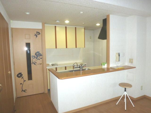 Kitchen. Indoor (11 May 2013) Shooting