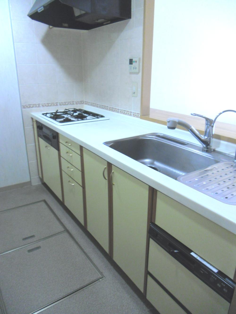 Kitchen. Indoor (12 May 2013) Shooting