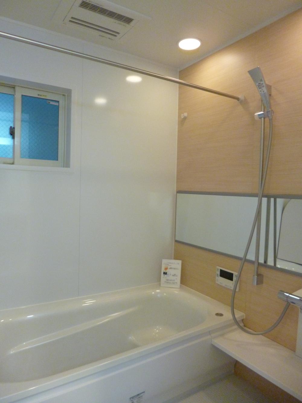 Bathroom. Indoor (12 May 2013) Shooting