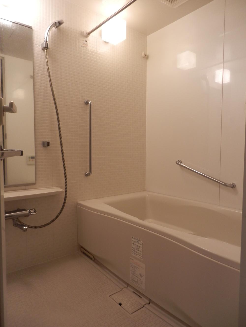 Bathroom. Indoor (11 May 2013) Shooting