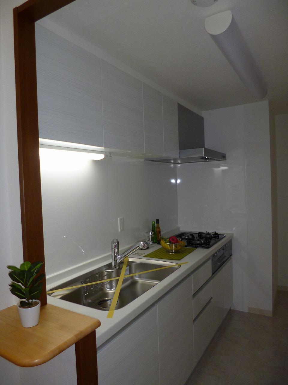 Kitchen. Indoor (11 May 2013) Shooting