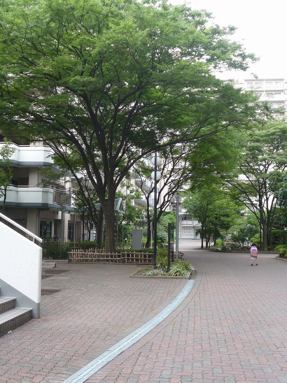 Other common areas. Shared part.