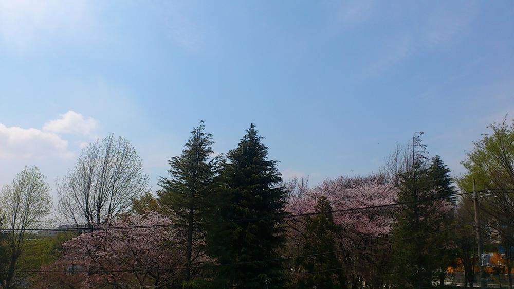 View photos from the local. View from local (September 2013) Shooting