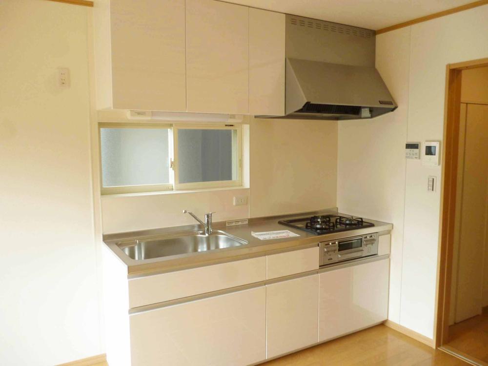 Kitchen. Indoor (11 May 2013) Shooting