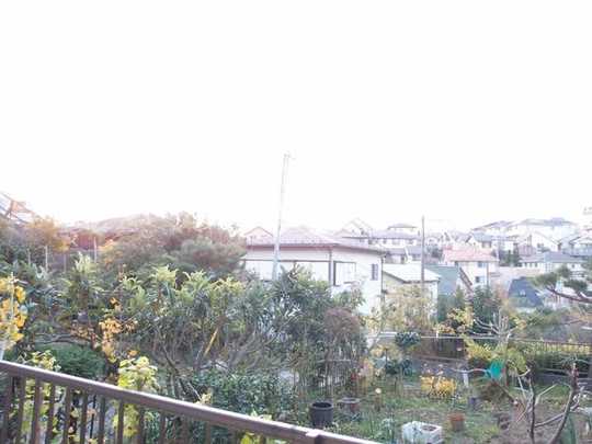 Local land photo. View from the site