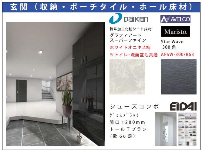 Same specifications photos (Other introspection). Entrance (index specification)