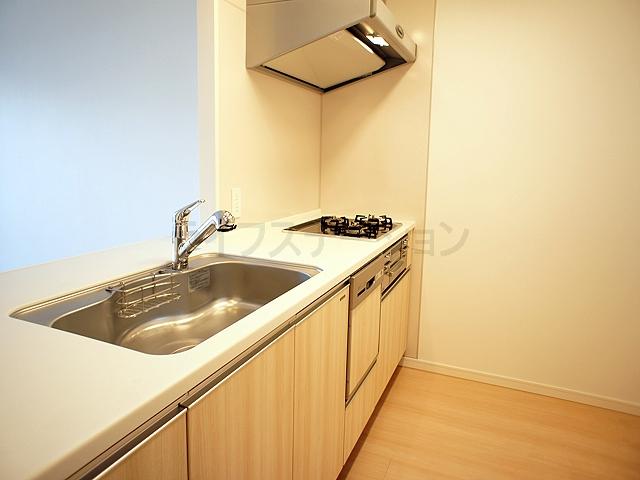 Kitchen. Indoor (11 May 2013) Shooting