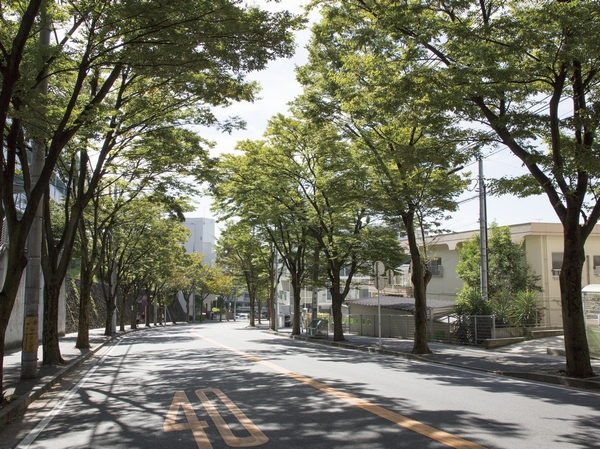 Local neighborhood streets (about 230m / 2013 October shooting)