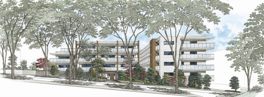 Appearance seem to Zelkova tree-lined over Rendering Illustration ( ※ 1)