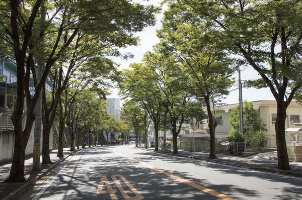 Local neighborhood streets (about 230m / 2013 October shooting)