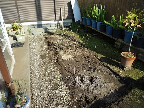 Local land photo. Sunny garden