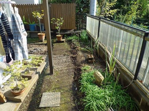 Local land photo. Garden