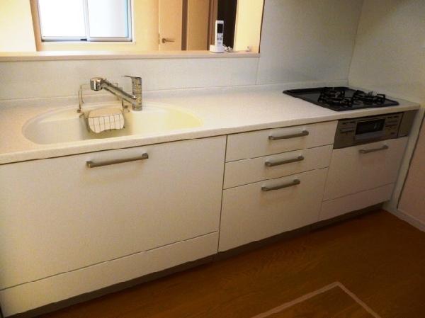 Kitchen. High cleanliness and usability counter kitchen