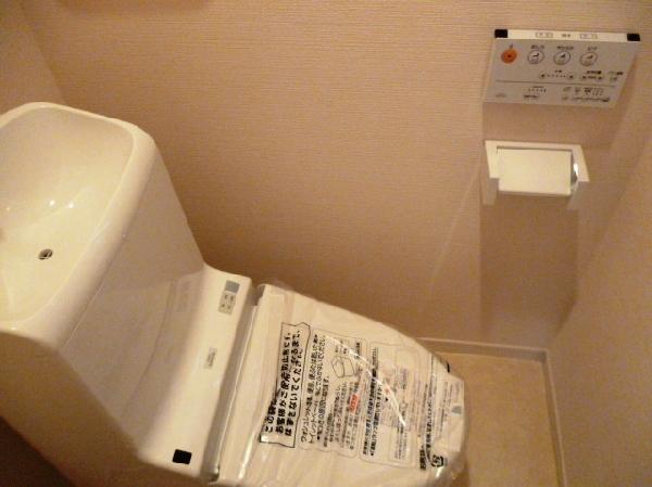 Toilet. High Clean toilet