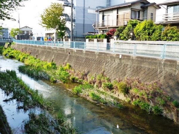 Other local. Honchi is on the north side Yakamigawa