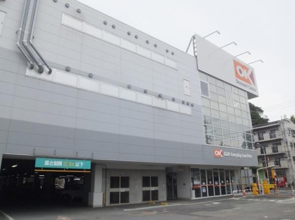 Supermarket. 600m OK store up to super Nogawa shop