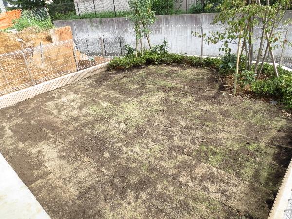 Garden. It is your garden.