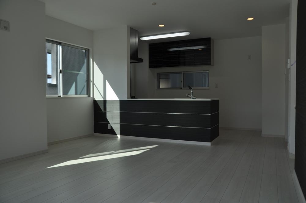 Living. Indoor (2013 years) Shooting