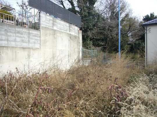 Local land photo. Local Photos. Current Status vacant lot.