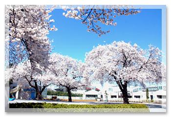 kindergarten ・ Nursery. Arima white lily to kindergarten 350m