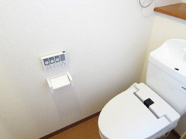 Toilet. Toilet is with a bidet.