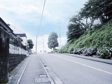 Surrounding environment. Overlooking the local than the peripheral road (about 100m)