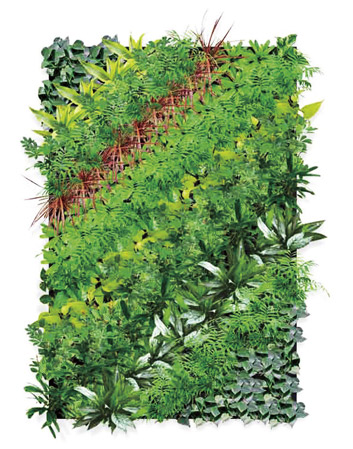 Features of the building.  [Wall greening of entrance hall "midorie"] To the wall of the entrance hall to welcome the people who live, Taha has undergone a moisture certain greening. Green flow line has been created that there is peace to the dwelling unit from the surrounding tree-lined. (Wall greening Rendering)