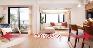 Other. Wide span that take advantage of the distribution wing of the south-facing center (D type model room)