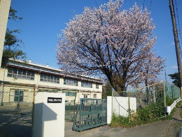 Junior high school. Arima 1300m until junior high school