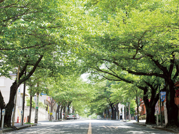Surrounding environment. Local neighborhood streets (about 840m ・ 11-minute walk)