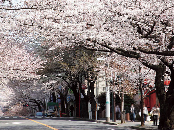 Surrounding environment. Local neighborhood streets (about 950m ・ A 12-minute walk)