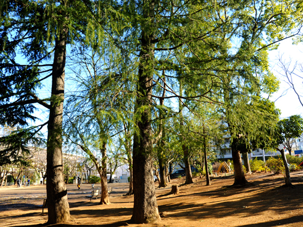 Surrounding environment. Miyamaedaira park (about 900m / A 12-minute walk)