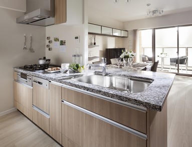 Building structure. Dishwasher, etc., Fully equipped kitchen