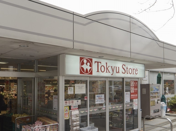 Miyazakidai in front of the station Tokyu Store Chain (about 450m)