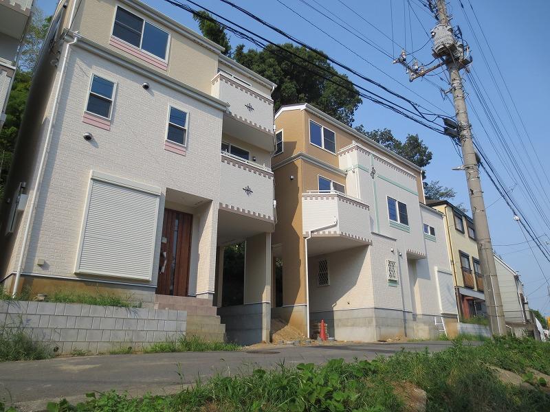 Local appearance photo. Panoramic view appearance