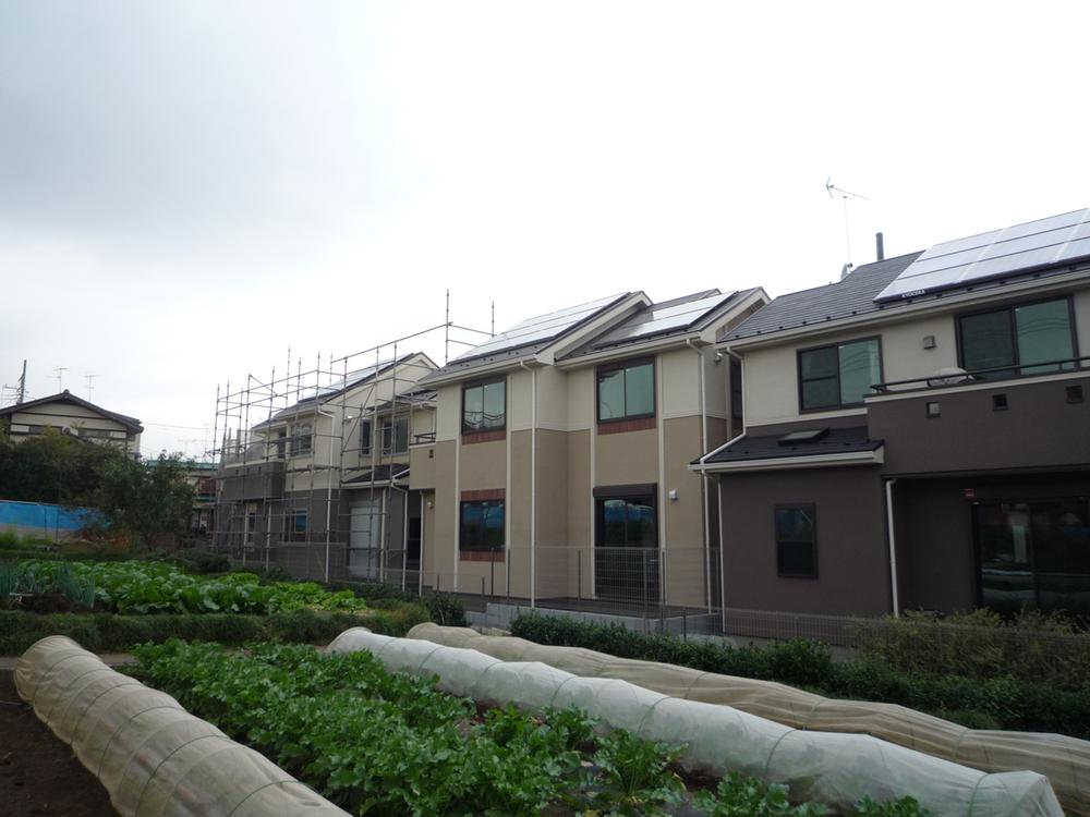 Other local. South side is good per sun per production green space. 