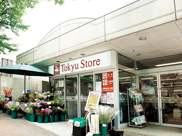 Surrounding environment. Miyazakidai Tokyu Store Chain (about 350m ・ Open from 5 minutes) 7 am walk until 1am.
