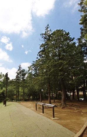 Other. Miyazaki first park (about 240m)