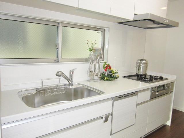 Kitchen. Dishwasher and water purifier kitchen.