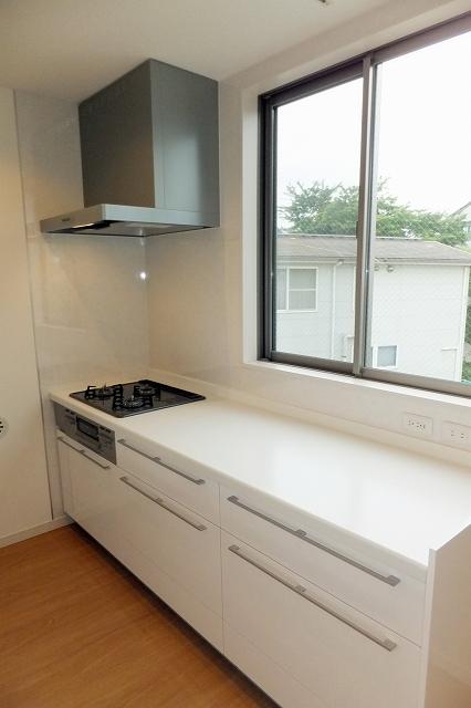 Kitchen. Indoor (May 28, 2013) Shooting