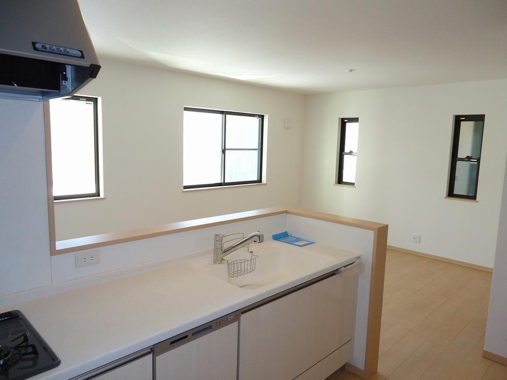 Kitchen. Indoor (11 May 2013) Shooting