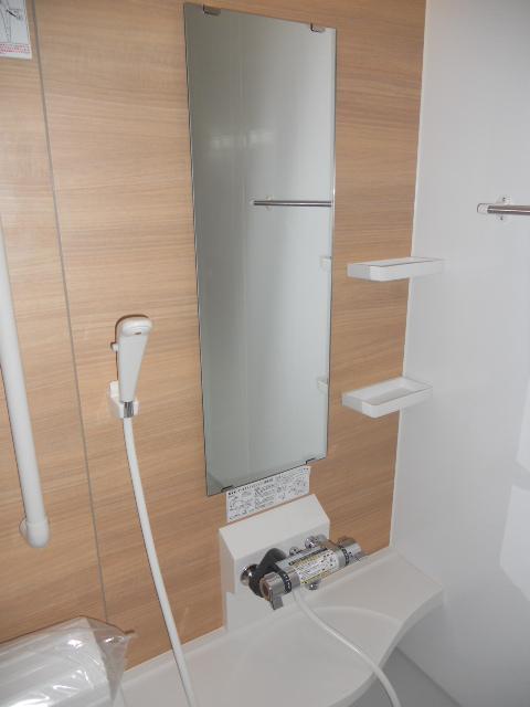 Bathroom. Installation convenient handrail!