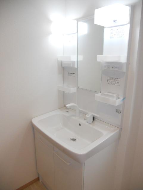 Wash basin, toilet. Vanity with shower